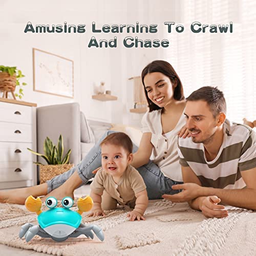 Crawling Crab Baby Toy