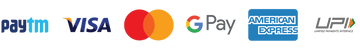 payments segment